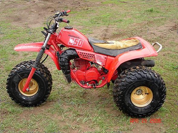 1981 ATC250R